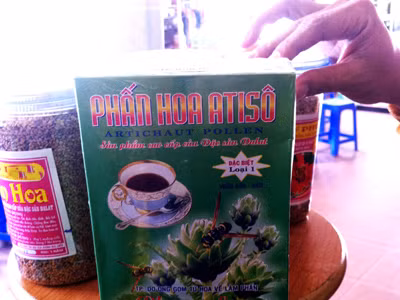 Phấn hoa atiso giả
