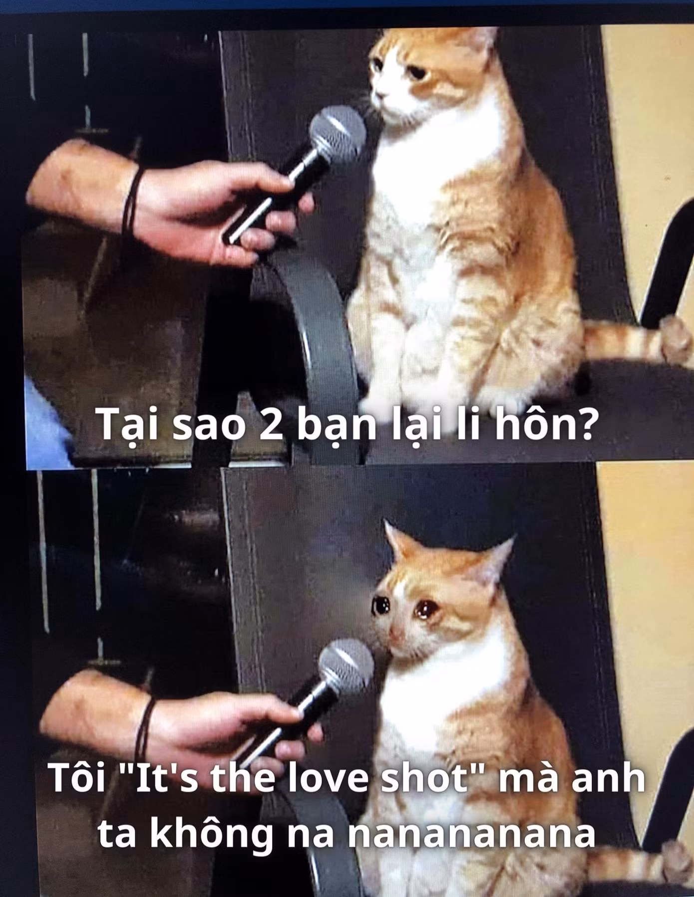 Có "cú bắn tình yêu" mà không có "na ná na na na ná na nà na" là không được, phải ly hôn thôi! Có "cú bắn tình yêu" mà không có "na ná na na na ná na nà na" là không được, phải ly hôn thôi!