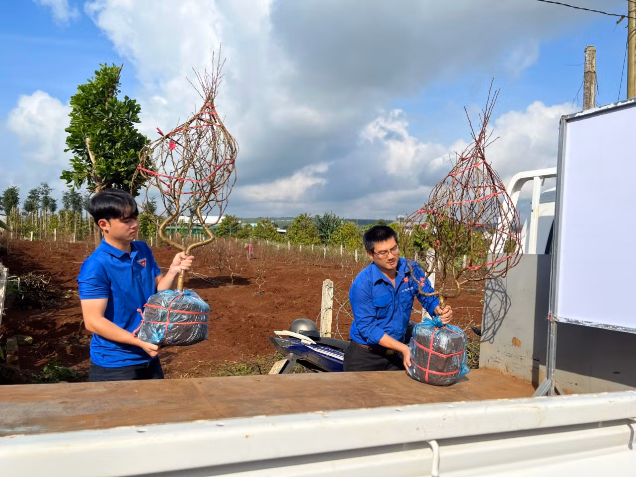 Chương trình sẽ bán tới chiều 30 Tết