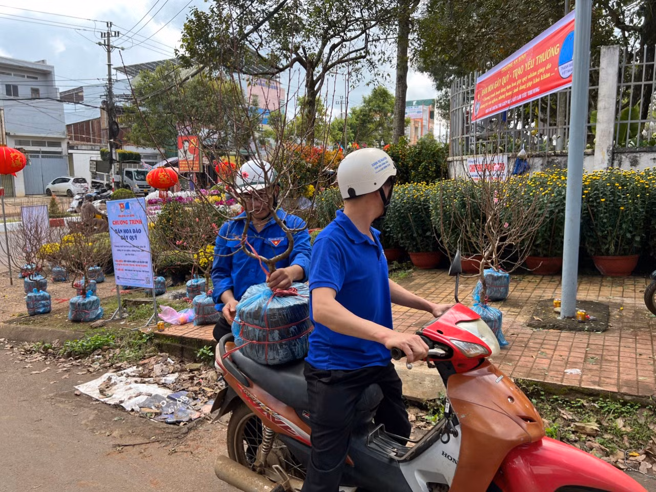 Đoàn viên, thanh niên giao cây cho khách