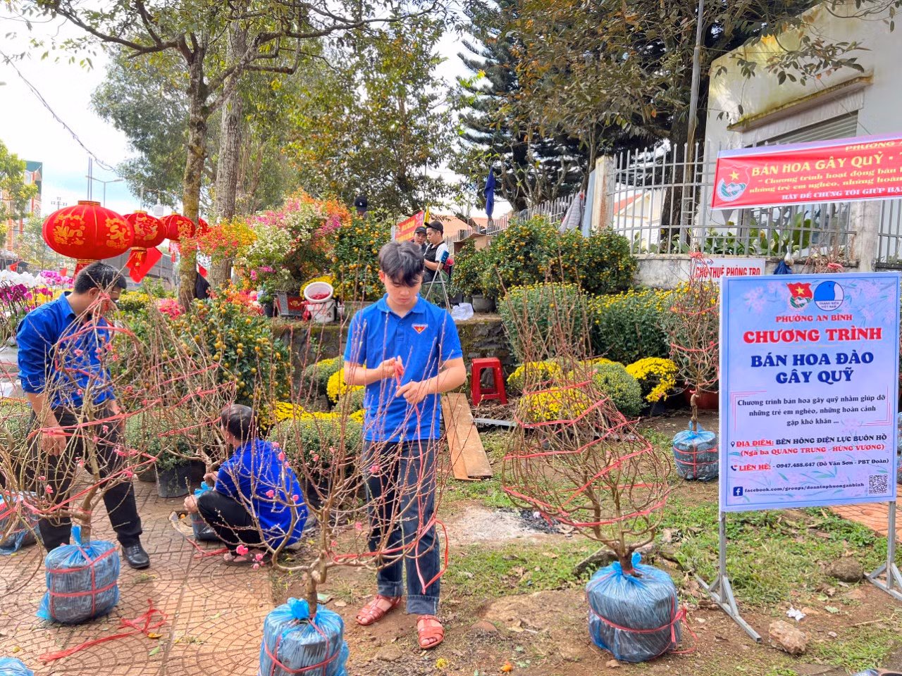 Chương trình bán hoa đào gây quỹ