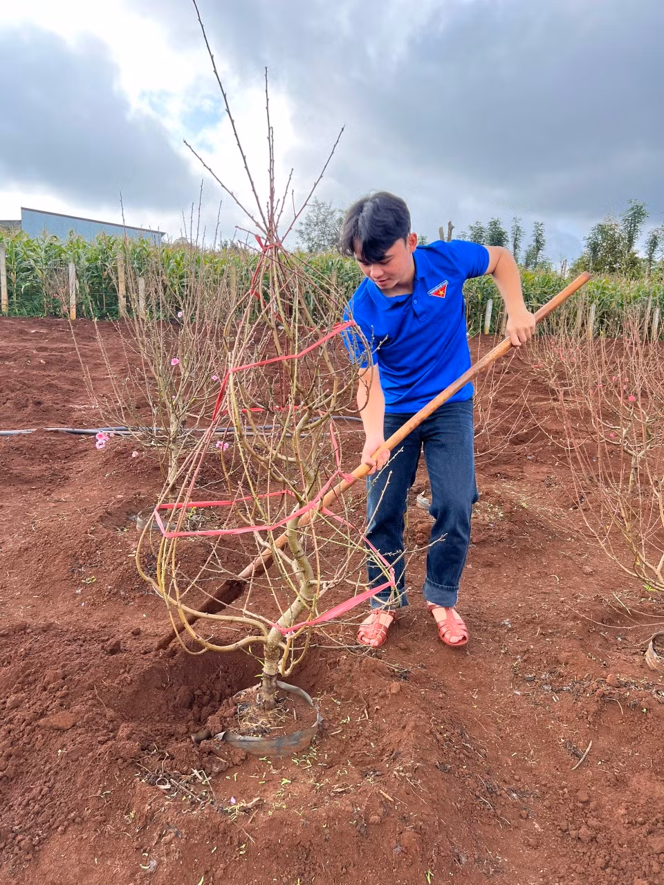 Chương trình có 20 đoàn viên thanh niên tham gia