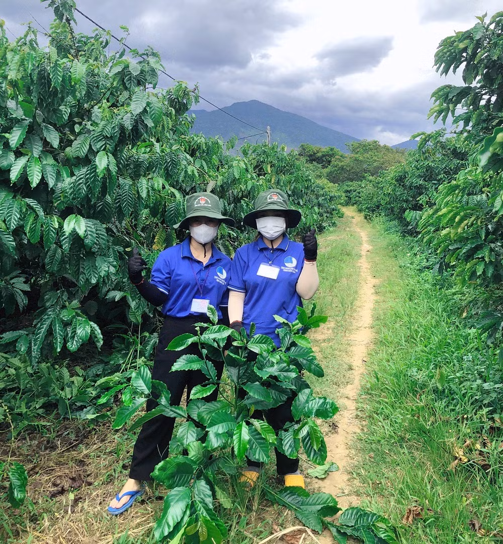 Ông Dư chia sẻ, bà con rất vui mừng vì có các bạn trẻ tình nguyện về làm giúp. Thanh niên có sức khỏe, nên làm việc gì cũng nhanh nhẹn, hiệu quả.
