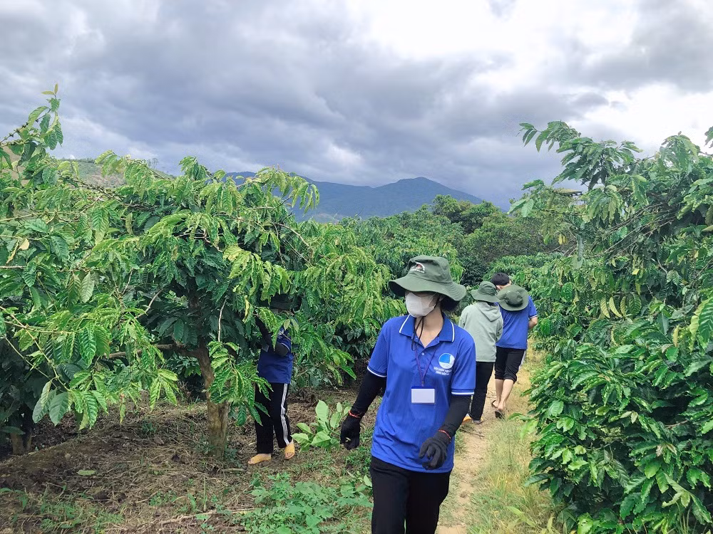 Những ngày hè nơi đại ngàn Tây Nguyên là cái nắng oi nồng và những cơn mưa rào bất chợt, nhưng không ngăn được nhiệt huyết của các thanh niên tình nguyện.