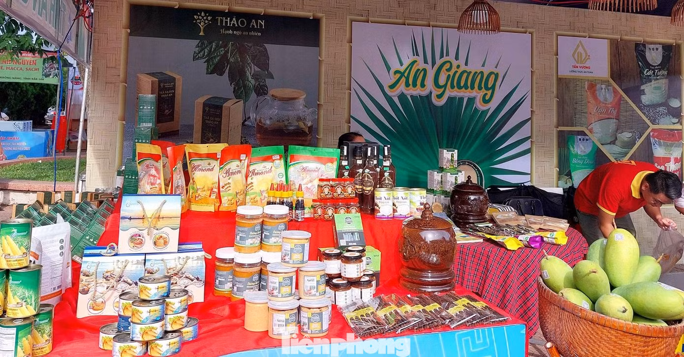 Ngoài các tỉnh Tây Nguyên còn có các tỉnh, thành khác trên cả nước tham gia