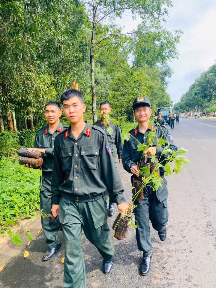 Đơn vị tiếp tục ra quân lần thứ 4 chăm sóc công trình thanh niên "Đường hoa dã quỳ 19-8" nhằm tạo cảnh quan "Xanh - Sạch - Đẹp" cho đô thị. Đơn vị tiếp tục ra quân lần thứ 4 chăm sóc công trình thanh niên "Đường hoa dã quỳ 19-8" nhằm tạo cảnh quan "Xanh - Sạch - Đẹp" cho đô thị.
