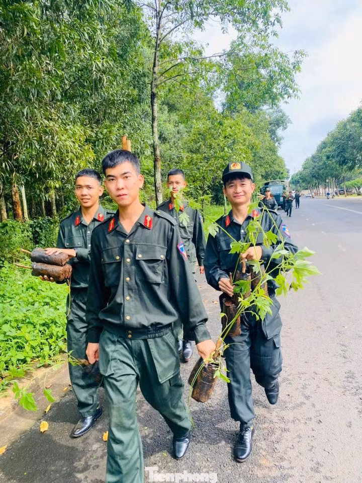 Đơn vị tiếp tục ra quân lần thứ 4 chăm sóc công trình thanh niên "Đường hoa dã quỳ 19-8" nhằm tạo cảnh quan "Xanh - Sạch - Đẹp" cho đô thị.