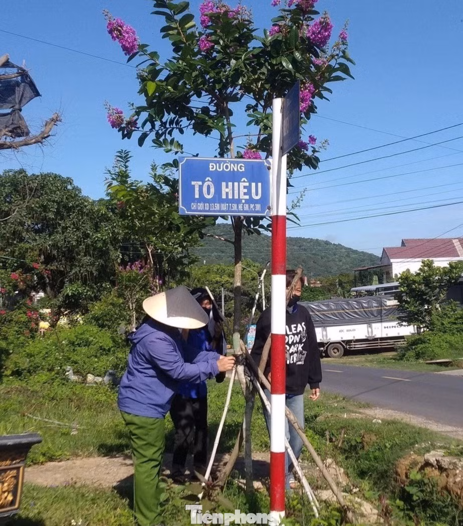 Đoàn xã Yang Tao trồng 300 cây phân tán. Đoàn xã Buôn Tría trồng 130 cây bằng lăng tím và cây giáng hương.