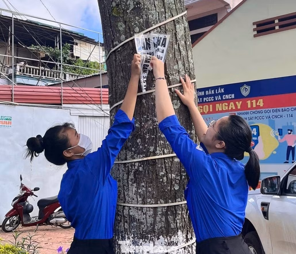 Hưởng ứng ngày cao điểm chiến sĩ tình nguyện vì văn minh đô thị năm 2024, gần 800 đoàn viên, thanh niên huyện Krông Pắc triển khai nhiều hoạt động thiết thực ý nghĩa.