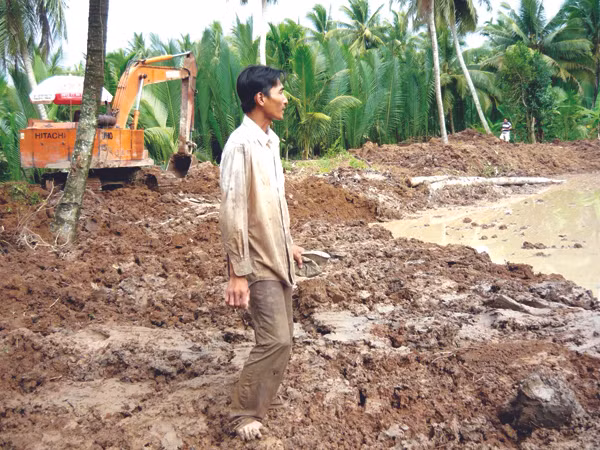Anh Thái Ngọc Vũ cay đắng nhìn vườn dừa vừa phá bỏ để chuyển sang trồng lác