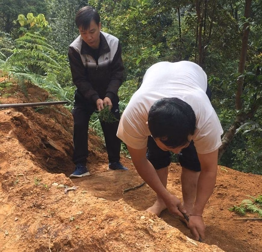 Cán bộ phòng Văn hóa và Thông tin huyện Mù Cang Chải và cán bộ xã Chế Cu Nha kiểm tra thực địa tại khu vực phát hiện những khối đá khắc cổ. (Ảnh: TTXVN phát)
