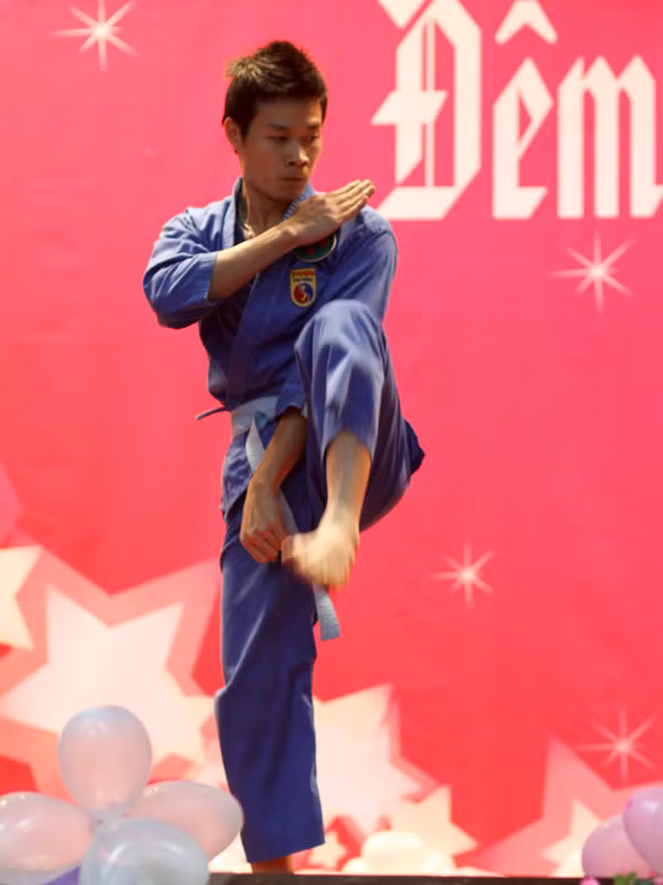 Biểu diễn võ thuật Vovina