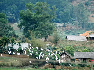 Bản Dõn, xã Minh Thanh, Sơn Dương, Tuyên Quang nơi báo Tiền Phong ra số đầu tiên. Ảnh: Hồng Vĩnh