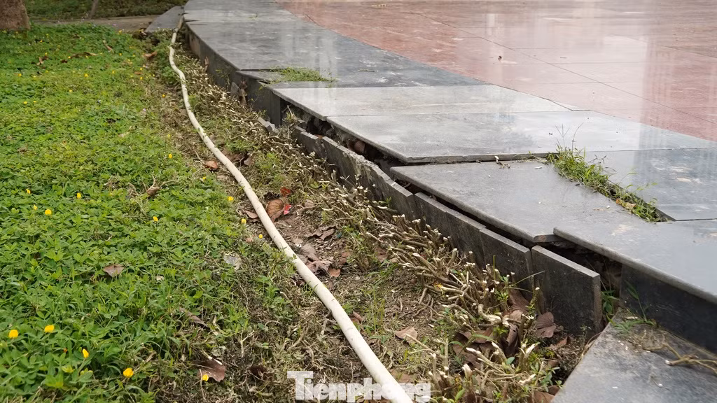 Gạch nền, tường khu vực nhà vệ sinh hay cánh cổng của công viên cũng chắp vá, buộc dây thép nhằng nhịt.