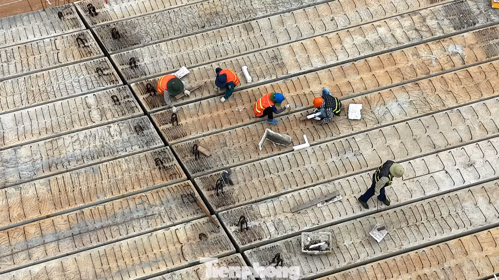 Quy mô mặt cắt ngang đường điển hình 40m, đoạn khớp nối với Đại lộ Thăng Long (dài khoảng 110m) có bề rộng mặt cắt ngang 100m.