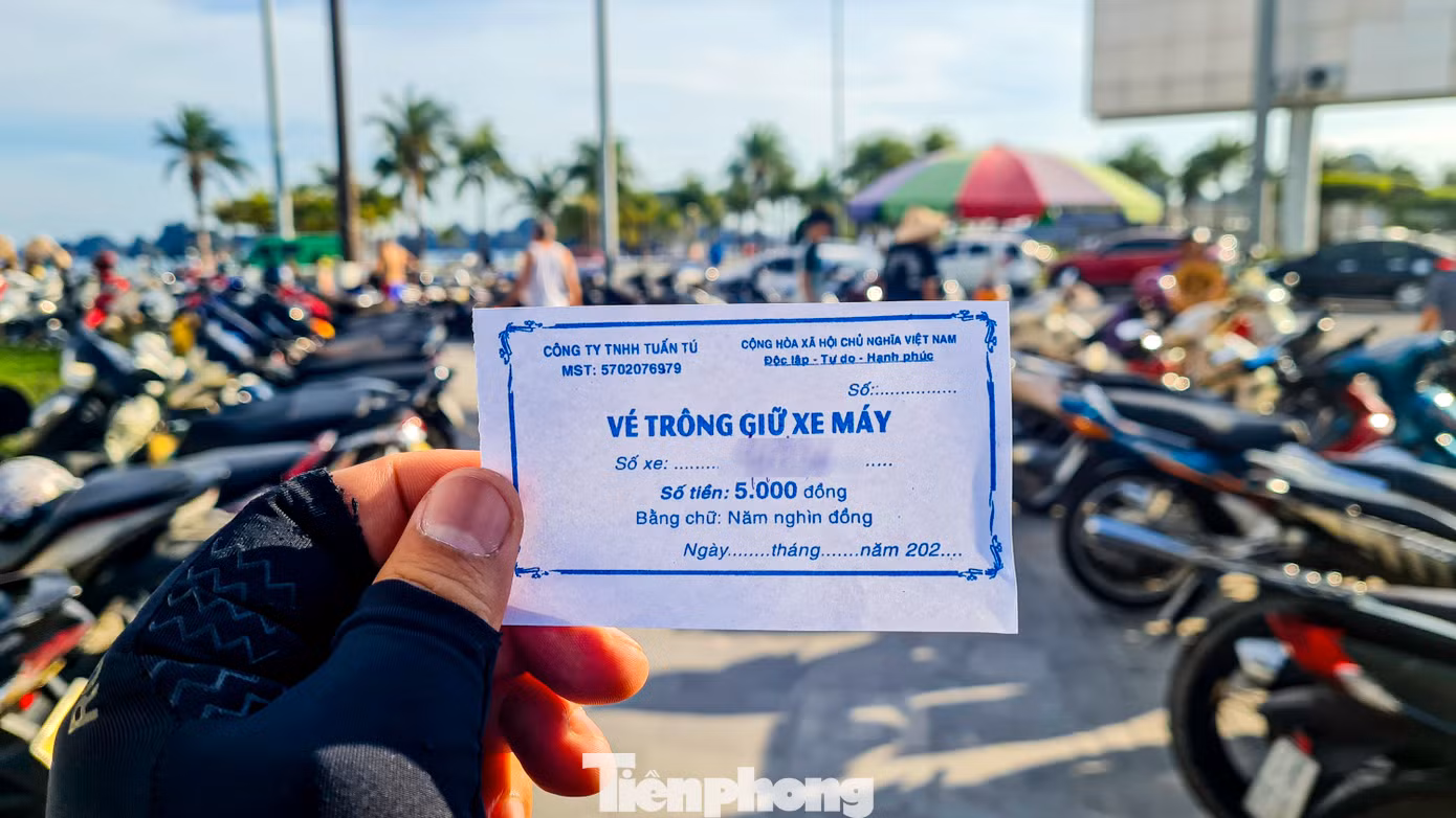 Điều đáng nói, tại một số bãi đỗ xe đều sử dụng chung vé trông giữ phương tiện của Công ty TNHH Tuấn Tú (không rõ địa chỉ công ty ở đâu). Trên vé xe phát cho chủ phương tiện cũng không ghi số vé hay thời gian phát hành vé.