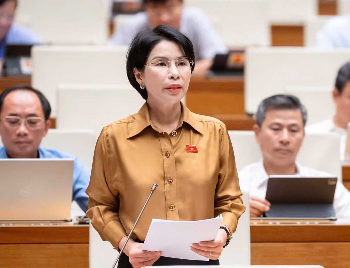 Đại biểu Trần Thị Nhị Hà. Ảnh: Như Ý