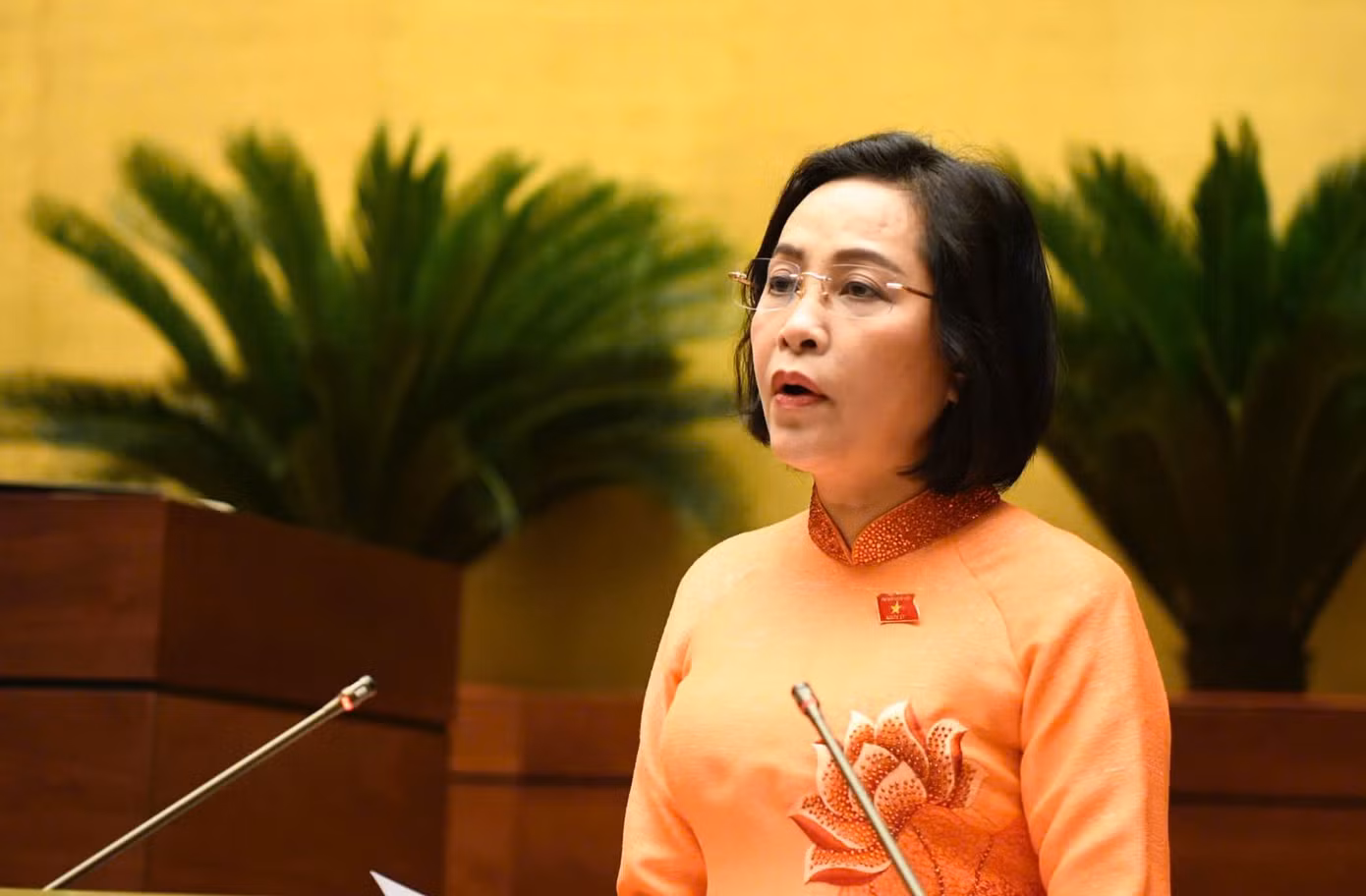 Phó Chủ tịch Quốc hội Nguyễn Thị Thanh trình bày tờ trình. Ảnh: QH Phó Chủ tịch Quốc hội Nguyễn Thị Thanh trình bày tờ trình. Ảnh: QH