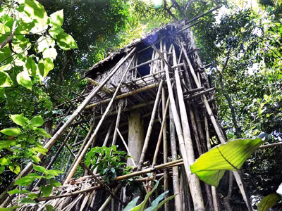 Nhà của con trai “người rừng” 