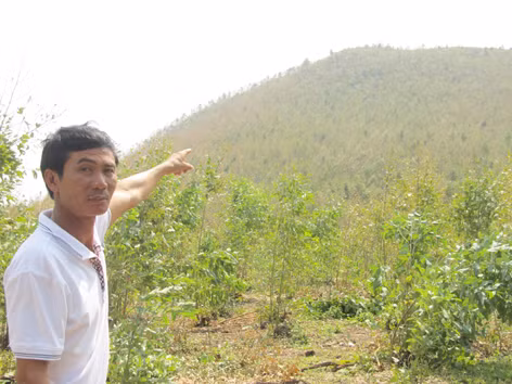 Anh Chu Văn An - Bí thư chi bộ thôn Thọ Sơn: “Núi Rồng, Vũng Chùa là nơi yên bình”. Anh Chu Văn An - Bí thư chi bộ thôn Thọ Sơn: “Núi Rồng, Vũng Chùa là nơi yên bình”
