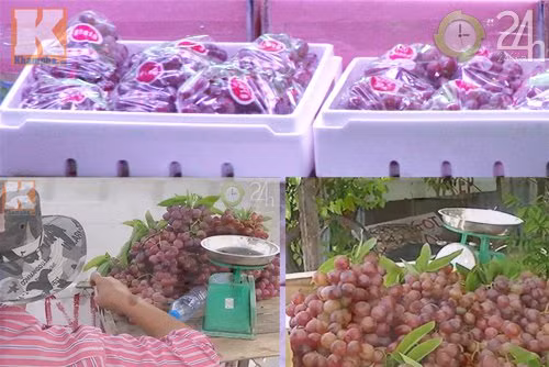 Thực tế đây là nho Trung Quốc, có giá bán tại chợ đầu mối Thủ Đức 6.000đ/kg. Tuy nhiên, chúng đã được bóc khỏi bao bì, sau đó mạo danh nho Ninh Thuận