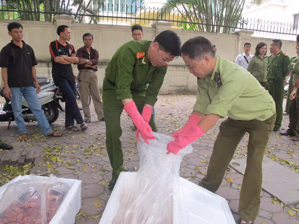 Lực lượng chức năng thu giữ nội tạng nhập lậu vào Việt Nam