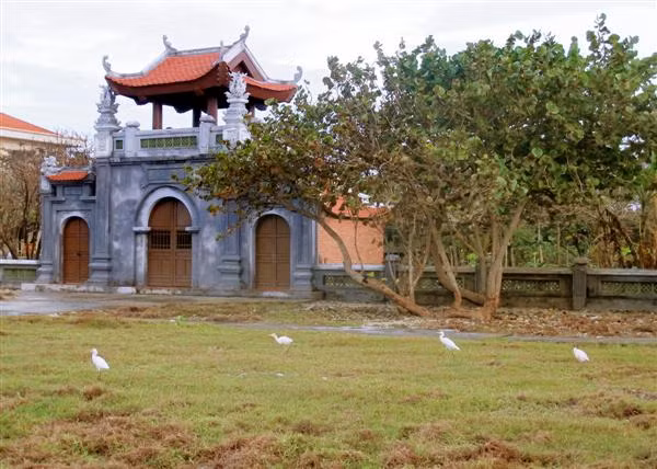 Chùa Trường Sa thật yên bình với 4 chú cò tha thẩn