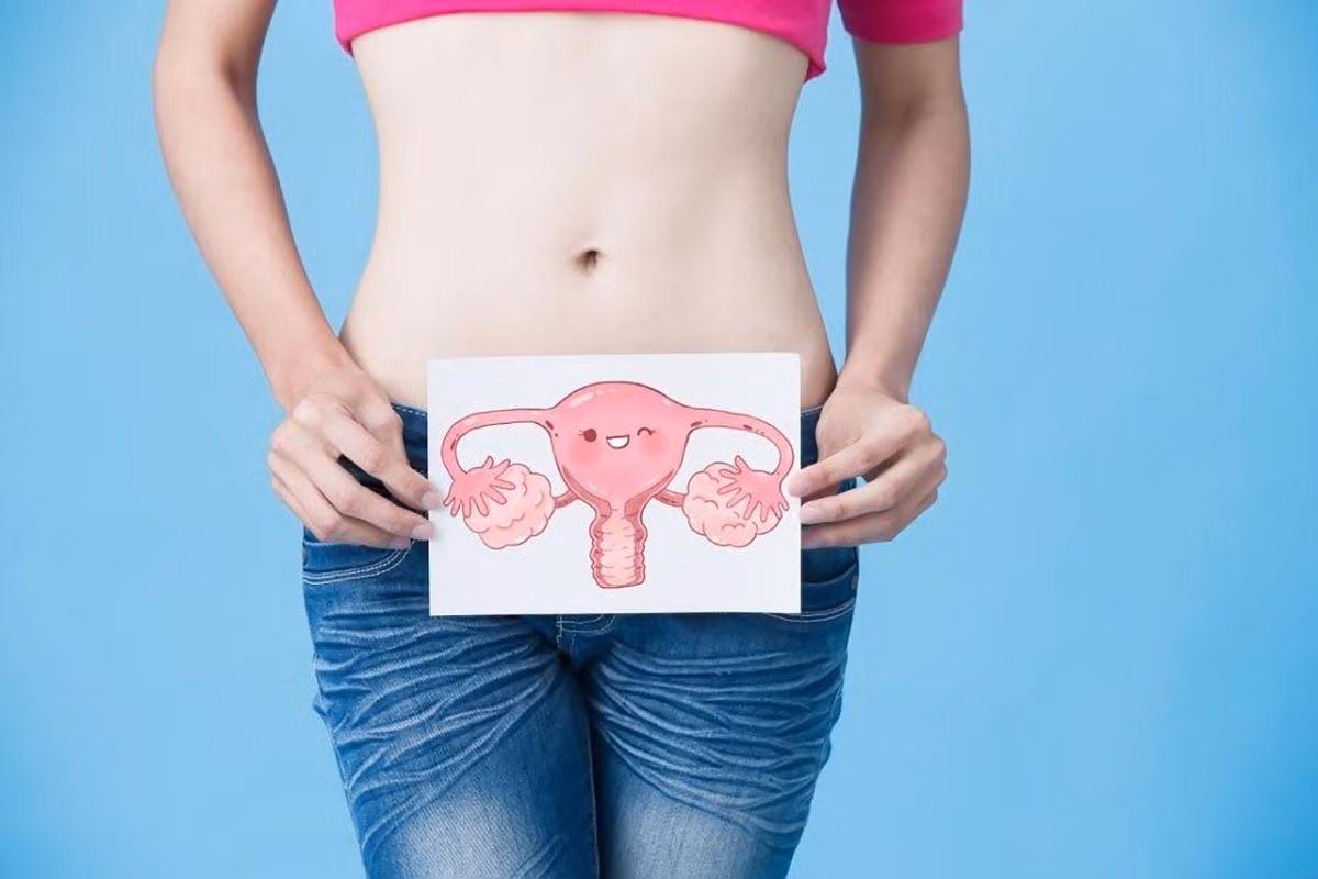 Buồng trứng sản sinh ra hormone estrogen và progesterone có vai trò quan trọng với sức khỏe, sinh lý, sắc đẹp phụ nữ Buồng trứng sản sinh ra hormone estrogen và progesterone có vai trò quan trọng với sức khỏe, sinh lý, sắc đẹp phụ nữ