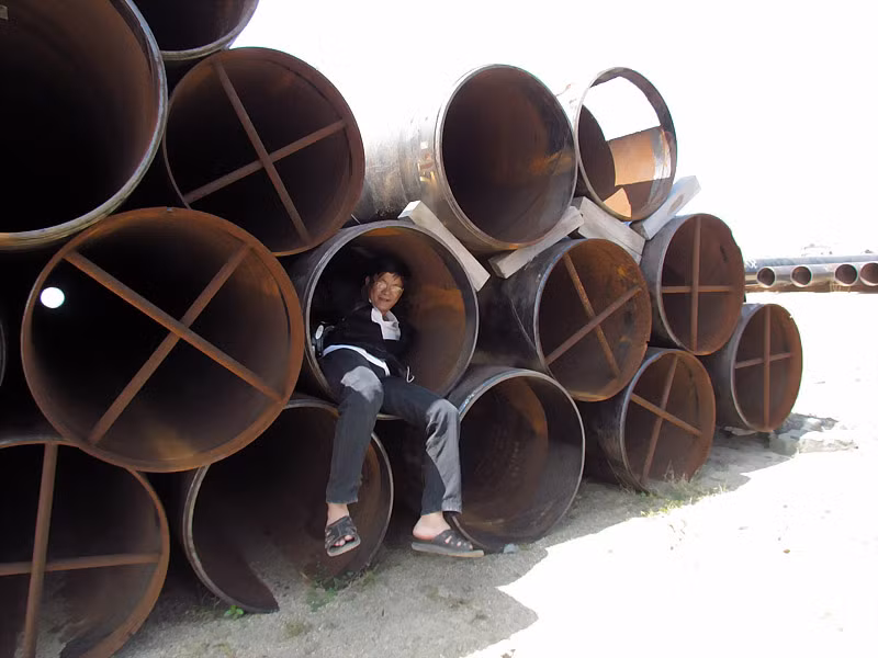 Các đoạn cọc bị cắt bớt