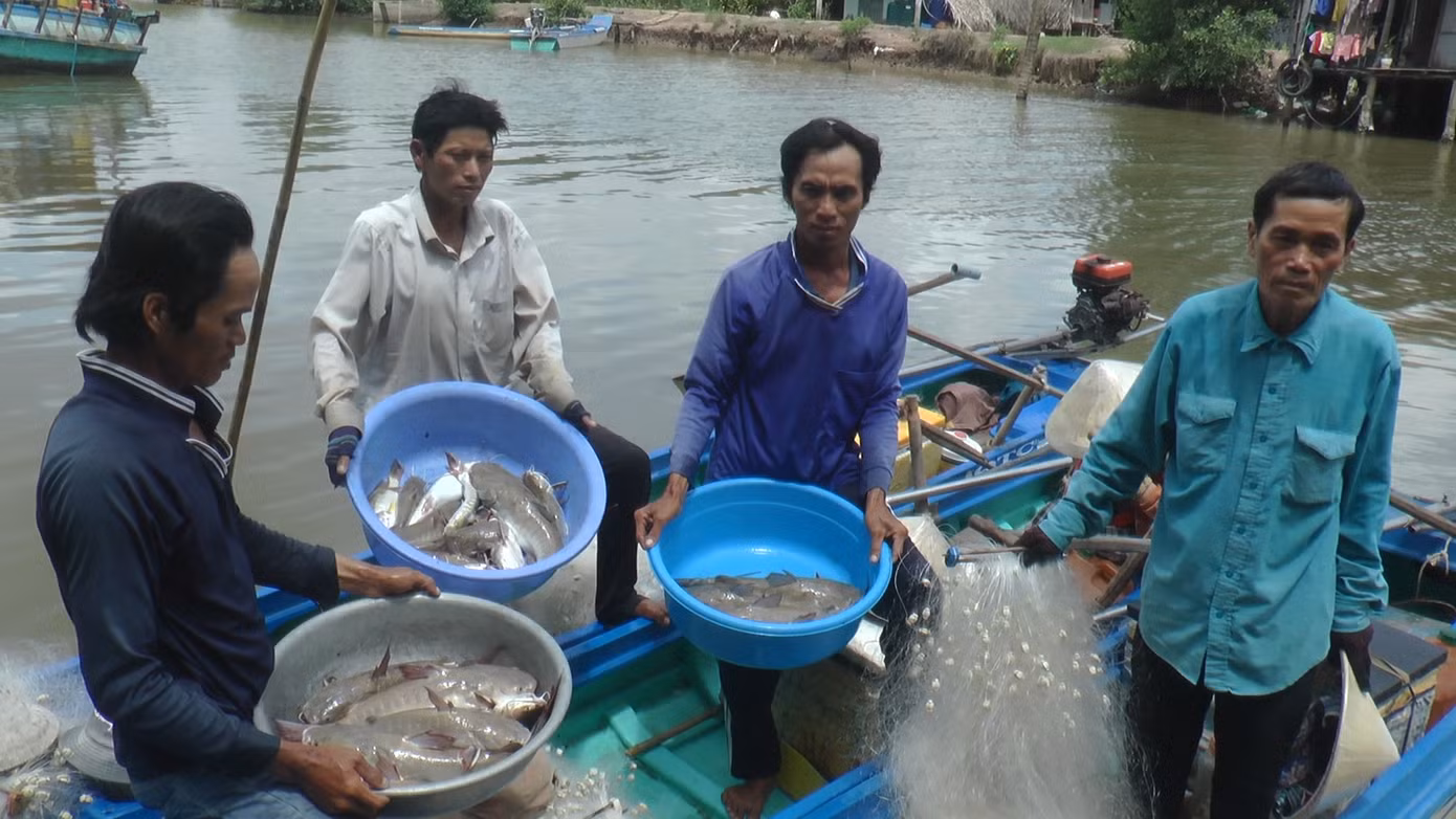 Trung bình mỗi ngày người đánh lưới cá vồ chó có thu nhập từ 600 nghìn đến 1 triệu đồng.