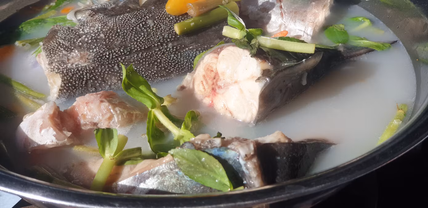 Cá vồ chó thường được chế biến thành món lẩu chua cơm mẻ hoặc kho tương.
