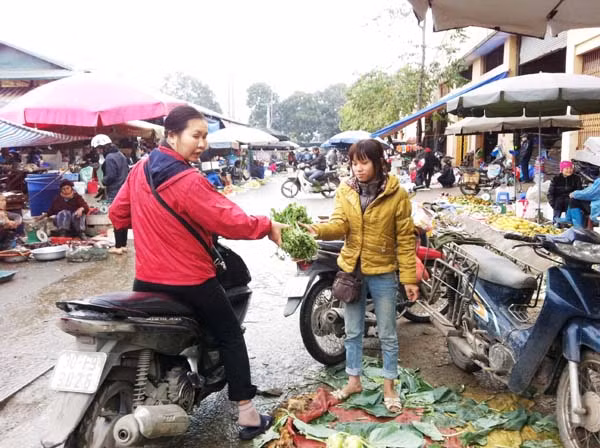 Chị Trần Thị Nụ (Vân Tảo- Thường Tín)đon đả mời khách mua cải xoong với giá 2.500 đồng và cải ngọt với giá 3.000 đồng/kg