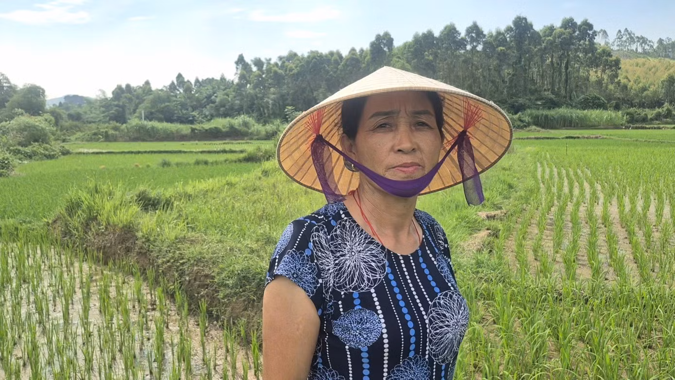 Bà Hoàng Thị Bằng, một người dân có khoảng 5 sào ruộng tại Kèm Sừ, cho biết: Khi đập thủy lợi đi vào hoạt động, người dân rất kỳ vọng sẽ có nước tưới ổn định. Thế nhưng, ruộng nhà bà lại không được lắp đường ống dẫn nước, trong khi nguồn nước suối tự nhiên từ trên đồi cũng đã cạn kiệt. "Ruộng chỉ canh tác được một vụ vào mùa mưa, còn lại để không vì không có nước tưới", bà Bằng chia sẻ.