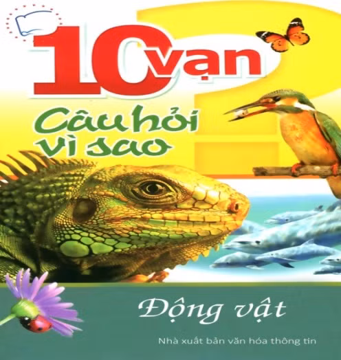 Nhà xuất bản: Văn hóa thông tin Tác giả: Đức Anh Năm xuất bản: 2013 Kích thước: 13.5x20.5	Số trang: 224 Giá bìa: 38000 Giá bán: 26600 