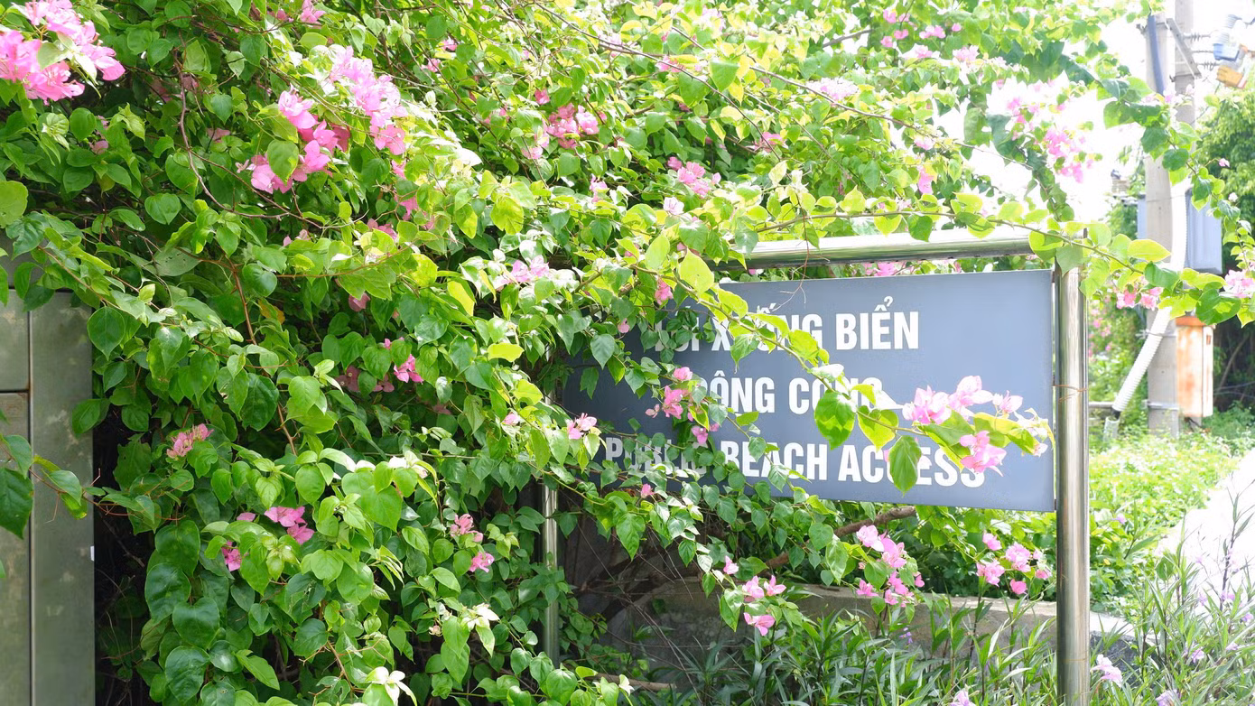 Một lối xuống biển phục vụ nhu cầu công cộng của người dân và du khách đã được mở ngay bên cạnh dự án.