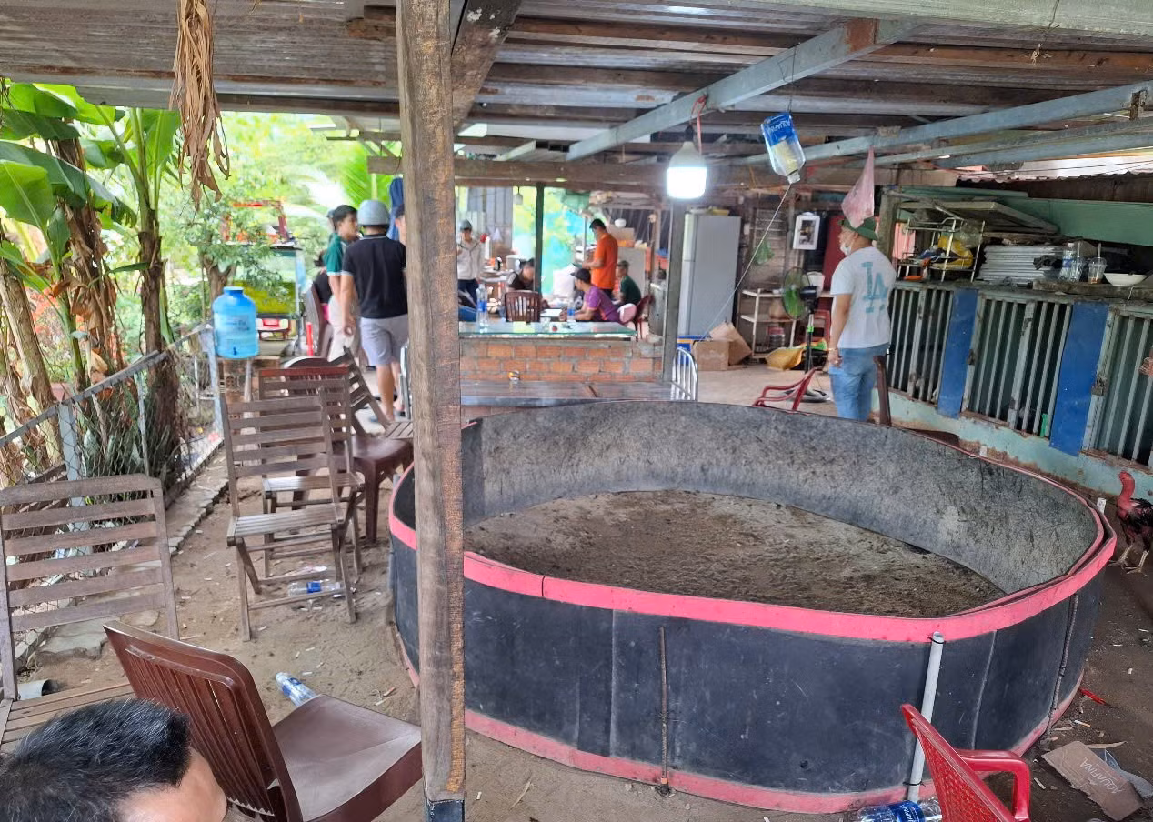 Theo đó, sau 5 ngày tích cực đấu tranh, Phòng Cảnh sát hình sự, Công an TP Đà Nẵng đã xác định được nhóm đối tượng cầm đầu tổ chức cá độ và hàng trăm con bạc đến tham gia cá độ tại tụ điểm núp bóng lán trại nuôi gà để tổ chức đánh bạc bằng hình thức cá độ đá gà tại tổ 129, phường Hòa Minh, quận Liên Chiểu, TP Đà Nẵng… Theo đó, sau 5 ngày tích cực đấu tranh, Phòng Cảnh sát hình sự, Công an TP Đà Nẵng đã xác định được nhóm đối tượng cầm đầu tổ chức cá độ và hàng trăm con bạc đến tham gia cá độ tại tụ điểm núp bóng lán trại nuôi gà để tổ chức đánh bạc bằng hình thức cá độ đá gà tại tổ 129, phường Hòa Minh, quận Liên Chiểu, TP Đà Nẵng…