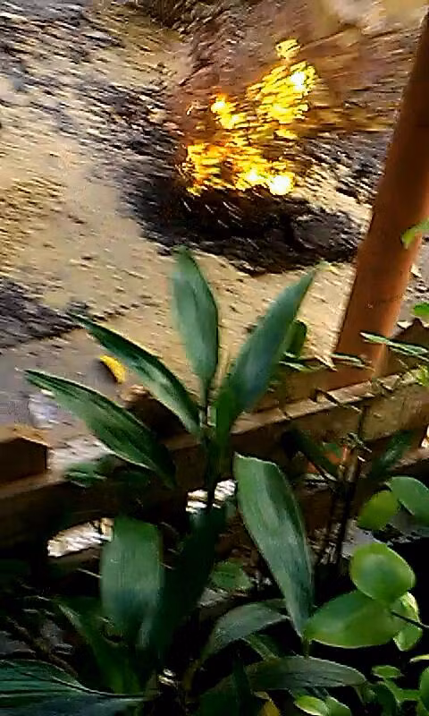 Lửa bốc lên từ miệng hố