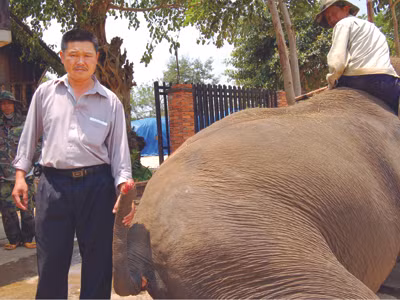 Ông Long đau khổ vì khúc đuôi bị chặt trộm của voi H’Tuk. Ông Long đau khổ vì khúc đuôi bị chặt trộm của voi H’Tuk