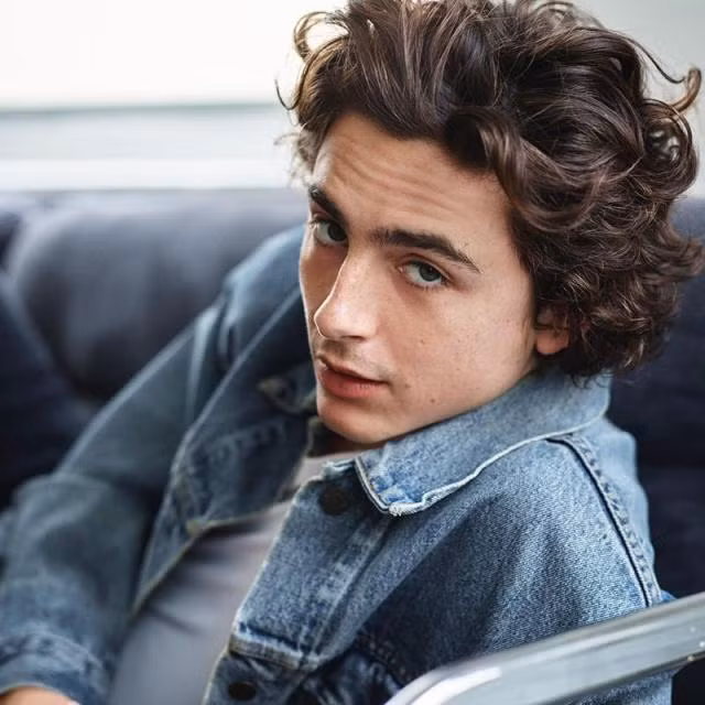 Timothée 28 tuổi, sinh tại New York trong gia đình giàu truyền thống nghệ thuật. Diễn viên mang trong mình hai dòng máu Mỹ - Pháp này từng gây tiếng vang với vai Elio trong Call Me By Your Name (2017). Các dự án điện ảnh Timothée tham gia sau đó đều đoạt nhiều giải thưởng và được giới phê bình đánh giá cao như Lady Bird (2017), Little Women (2019), Dune (2021).
