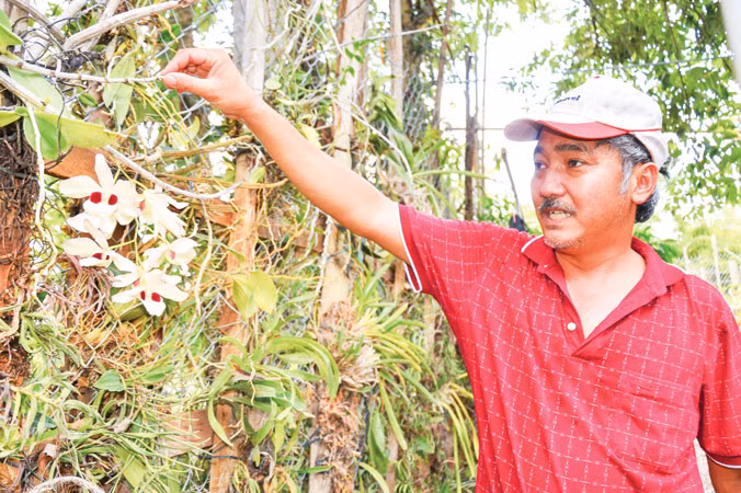 Lạc giữa bộ sưu tập lan rừng lớn nhất Việt Nam ảnh 1
