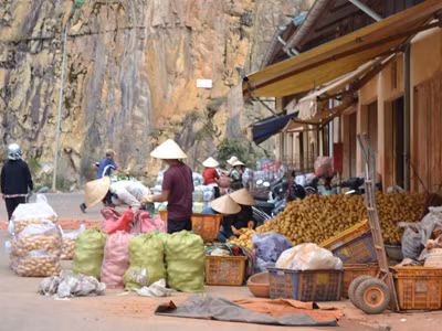 Khoai tây Trung Quốc được mông má tại Chợ Nông sản Đà Lạt 