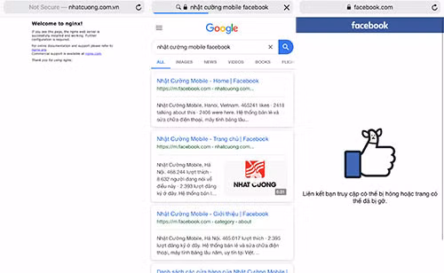 Các kênh truyền thông của Nhật Cường Mobile 'biến mất' trên Internet ảnh 1