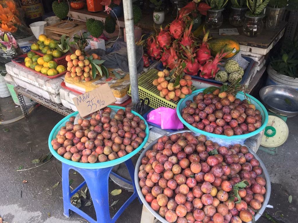 Mận hậu giá rẻ bán ngập chợ Sài Gòn ảnh 2