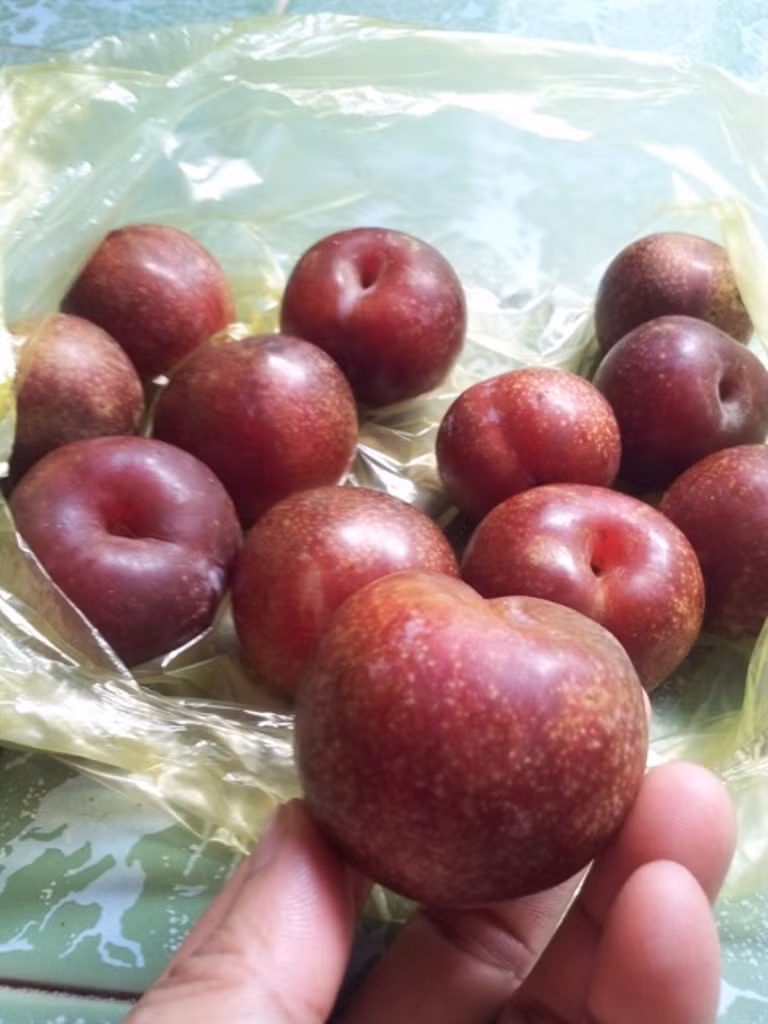 Mận hậu giá rẻ bán ngập chợ Sài Gòn ảnh 3