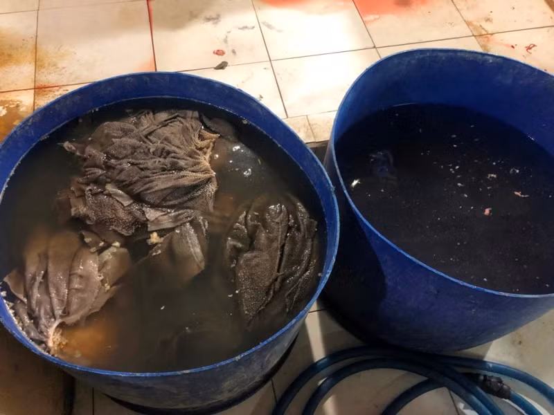 TPHCM cảnh báo heo bệnh trà trộn vào chợ dịp Tết ảnh 7 TPHCM cảnh báo heo bệnh trà trộn vào chợ dịp Tết ảnh 7