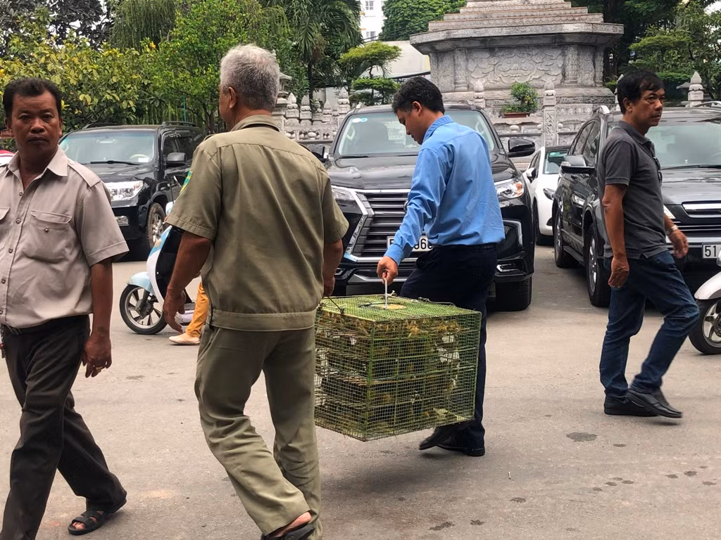 Chim phóng sinh đội giá cao ngất, thả chỉ đi bộ lảo đảo như say rượu ảnh 14