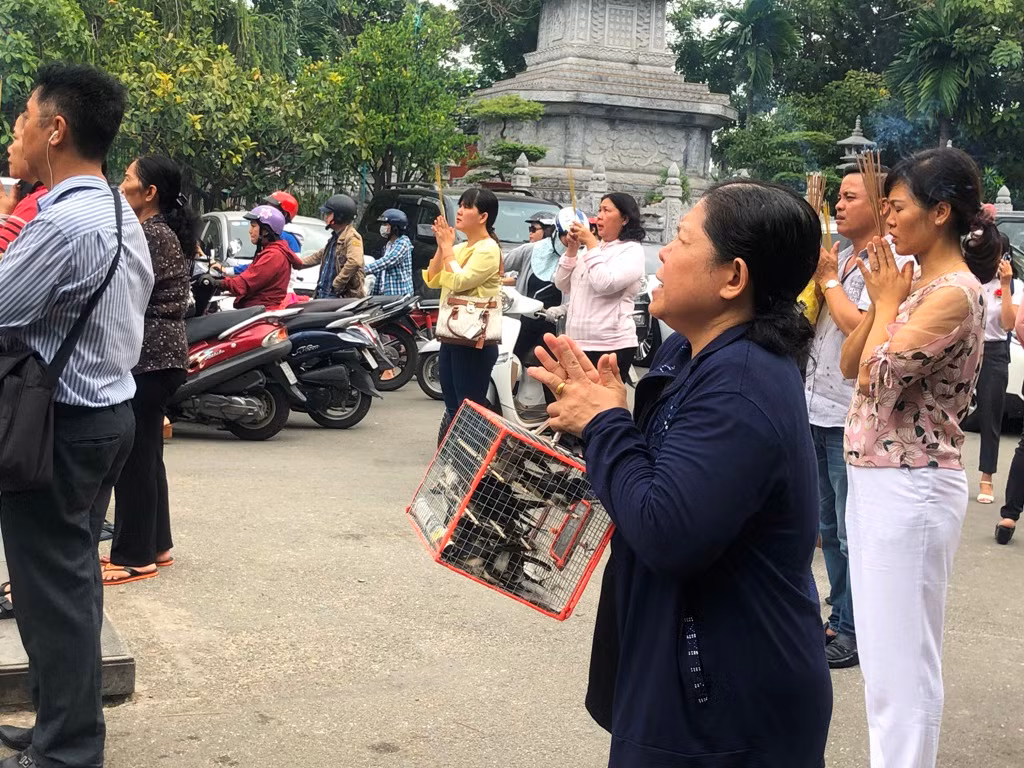 Chim phóng sinh đội giá cao ngất, thả chỉ đi bộ lảo đảo như say rượu ảnh 12