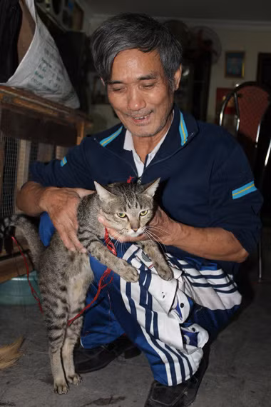 Ông Mỹ ủng hộ lập các đội chuyên trách bắt giữ chó mèo thả rông ở các khu đô thị, nơi đông dân cư nhưng lo ngại việc cấp số khó thực hiện