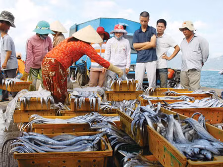 Thương lái Trung Quốc mua cá ở Vĩnh Lương