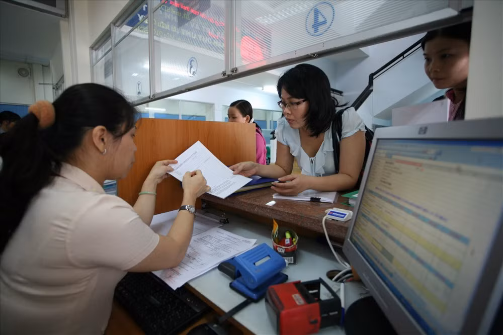 Khai quật 400 lóng gỗ thông, phát hiện thủ đoạn mới triệt hạ rừng ảnh 3